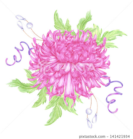 Hand drawn watercolor pink chrysanthemum with ribbons pearls composition. Illustration of flower isolated on white background. Can be used for postcard, label, scrapbook and other printed products Hand drawn watercolor pink chrysanthemum with ribbons pearls composition. Illustration of flower isolated on white background. Can be used for postcard, label, scrapbook and other printed products 141421934