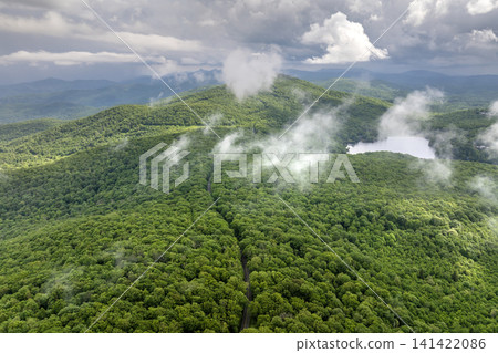 Blue Ridge Parkway road in summer woods of Appalachian mountains with green canopies in colorful forest. Road trip driving in wild nature in summertime rainy season Blue Ridge Parkway road in summer woods of Appalachian mountains with green canopies in colorful forest. Road trip driving in wild nature in summertime rainy season 141422086