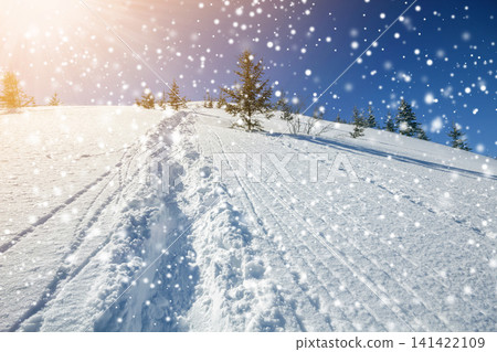 Beautiful winter landscape. Steep mountain hill slope with path and ski tracks in white deep snow, green spruce trees, large snowflakes and bright shining sun rays on blue sky copy space background. Beautiful winter landscape. Steep mountain hill slope with path and ski tracks in white deep snow, green spruce trees, large snowflakes and bright shining sun rays on blue sky copy space background. 141422109