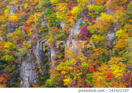 Autumn foliage at the scenic spot Naruko Gorge Autumn foliage at the scenic spot Naruko Gorge 141422197
