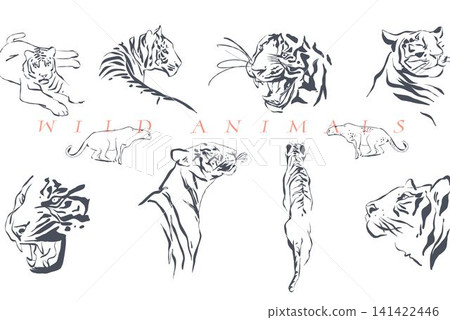 Hand drawn vector graphic line art background with sketch tigers and wild animals .Vector illustration of exotic nature outline pattern line style. Drawing line art wildlife nature pattern. Hand drawn vector graphic line art background with sketch tigers and wild animals .Vector illustration of exotic nature outline pattern line style. Drawing line art wildlife nature pattern. 141422446