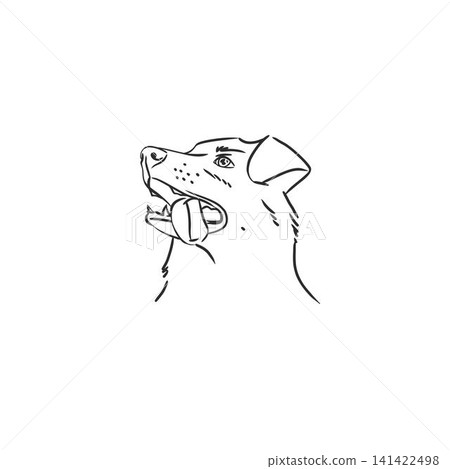 Hand drawn vector abstract graphic line collection with doodle cute funny cartoon dog characters.Vector illustration of funny cartoon adorable cat in trendy style. Line icon pet print. 141422498