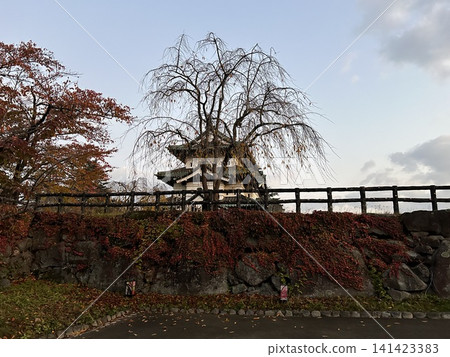 這是弘前城三層天守閣和弘前公園內枯死樹木的景色,弘前公園位於青森縣弘前市。 這是弘前城三層天守閣和弘前公園內枯死樹木的景色,弘前公園位於青森縣弘前市。 141423383