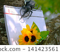 Summer Memories (Calendar on a Tree, Sunflowers, and Beetles) 141423561