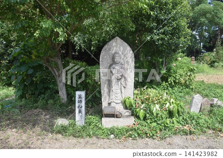 奈良般若寺 141423982