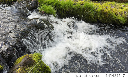 The clear streams of Karuizawa, a cool landscape of waterfalls and moss. The clear streams of Karuizawa, a cool landscape of waterfalls and moss. 141424347