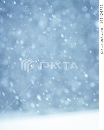 森林中雪花紛飛的景象-猿飛高原 森林中雪花紛飛的景象-猿飛高原 141424721