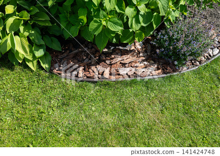 Decorative garden border with bark mulch and flowering plants Decorative garden border with bark mulch and flowering plants 141424748