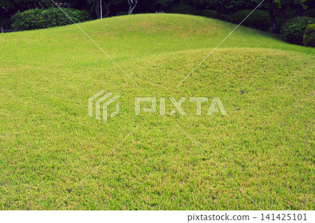 Lawn in the garden Lawn in the garden 141425101