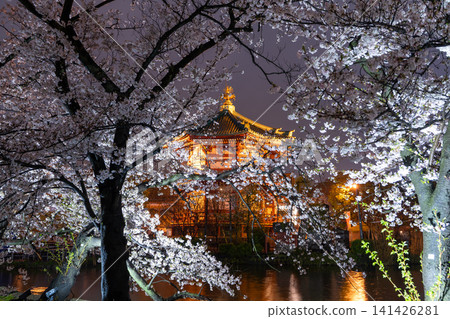 Cherry blossoms blooming at night in Ueno's Shinobazu Pond and the illuminated Shinobazu Pond Bentendo Temple on a rainy night. 141426281