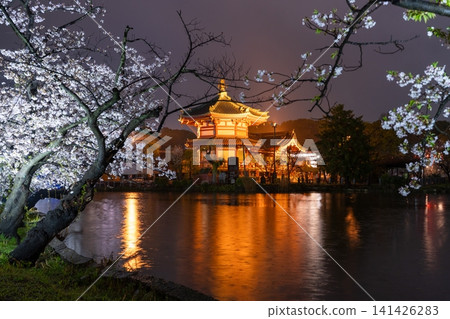 雨夜裡,上野的忍池櫻花在夜色中盛開,忍池弁天殿燈火通明。 雨夜裡,上野的忍池櫻花在夜色中盛開,忍池弁天殿燈火通明。 141426283