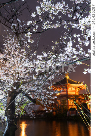 雨夜裡,上野的忍池櫻花在夜色中盛開,忍池弁天殿燈火通明。 雨夜裡,上野的忍池櫻花在夜色中盛開,忍池弁天殿燈火通明。 141426297