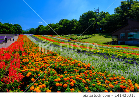 Tambara Plateau, Irodori Hill Tambara Plateau, Irodori Hill 141426315