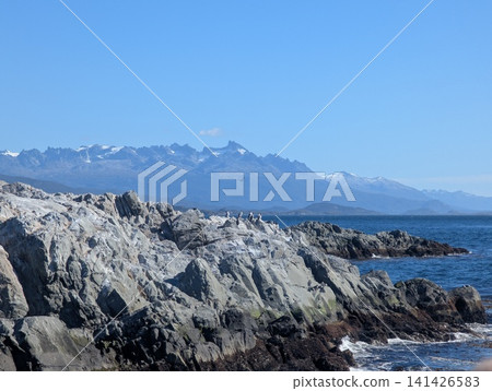 Imperial Cormorant Colony in a Wide Patagonian Mountain Seascape Imperial Cormorant Colony in a Wide Patagonian Mountain Seascape 141426583