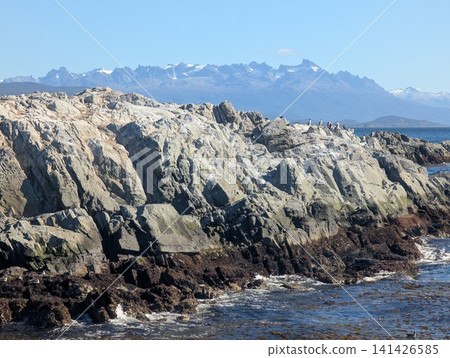 Long Rocky Cormorant Colony with Distant Mountains in Tierra del Fuego Long Rocky Cormorant Colony with Distant Mountains in Tierra del Fuego 141426585