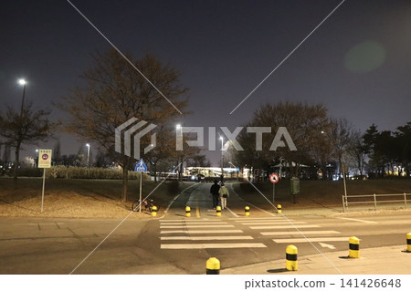 Nighttime Park Path with Pedestrians Nighttime Park Path with Pedestrians 141426648
