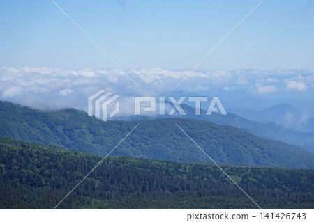 從南藏山夏季健行步道上看到的雲海。 141426743