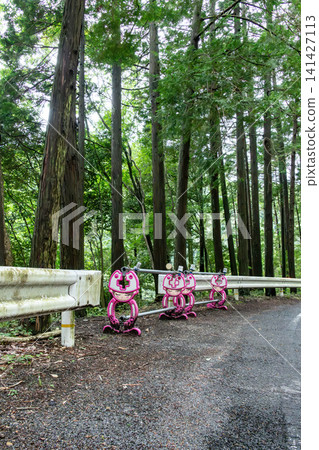 Barricades made of steel pipes installed along the side of a mountain path 141427113
