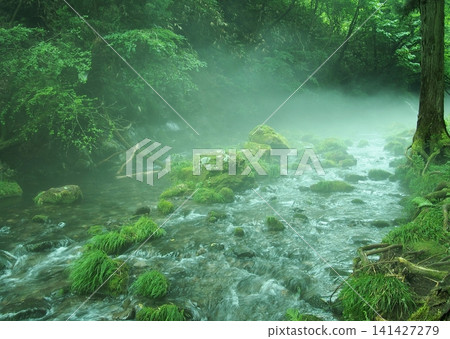 A clear stream fed by the underground waters of the former Takigawa River on Mount Chokai. A clear stream fed by the underground waters of the former Takigawa River on Mount Chokai. 141427279