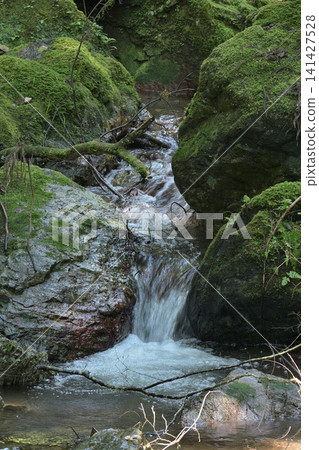 苔蘚覆蓋的岩石和清澈的溪流展現出自然的質感。 141427528