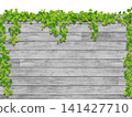 Ivy and gray wood wall (side view) 141427710