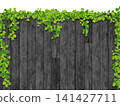 Ivy and black wood wall (vertical) 141427711