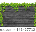 Ivy and black wood wall (side view) 141427712