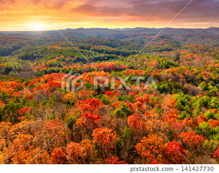 Colorful forest sunset landscape of Appalachian mountain hills in fall season. Yellow and orange canopies create vibrant autumn scenery. Colorful forest sunset landscape of Appalachian mountain hills in fall season. Yellow and orange canopies create vibrant autumn scenery. 141427730