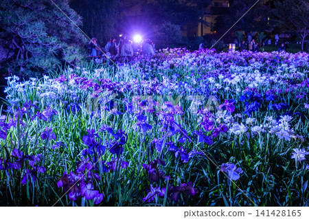 Horikiri Iris Garden - Illumination 2026 141428165