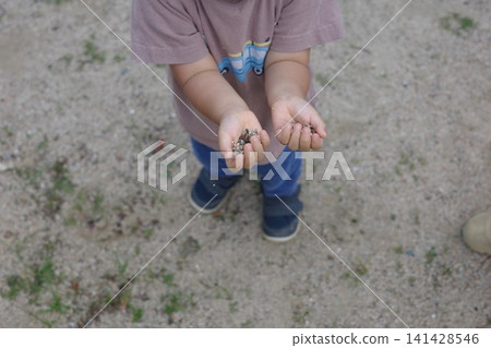 一個孩子雙手捧著小石頭,遞給另一個孩子。 一個孩子雙手捧著小石頭,遞給另一個孩子。 141428546
