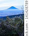 Mount Fuji  141428789