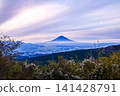 Mount Fuji  141428791