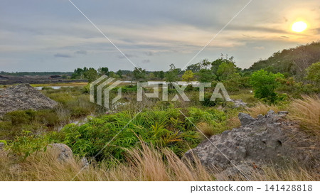 Sunset Landscape Over Open Field with Dry Grass and Trees Sunset Landscape Over Open Field with Dry Grass and Trees 141428818