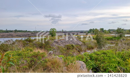 Natural Open Field Landscape with Wild Dry Grass and Pond Natural Open Field Landscape with Wild Dry Grass and Pond 141428820