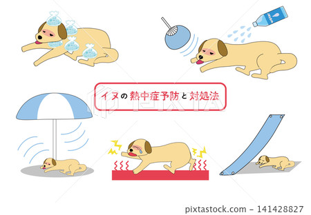 A guide to preventing and treating heatstroke in dogs, including first aid and important points, illustrated with illustrations for pet heatstroke prevention. A guide to preventing and treating heatstroke in dogs, including first aid and important points, illustrated with illustrations for pet heatstroke prevention. 141428827