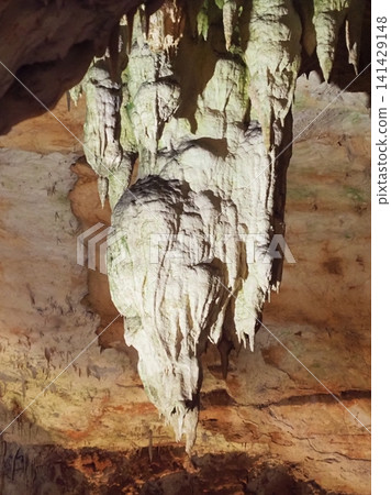 Postojna Cave, Slovenia 141429148
