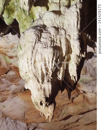 Postojna Cave, Slovenia 141429173