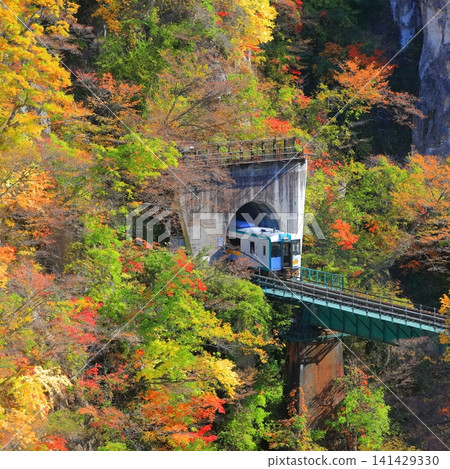 [Miyagi Prefecture] Autumn leaves train crossing Naruko Gorge 141429330