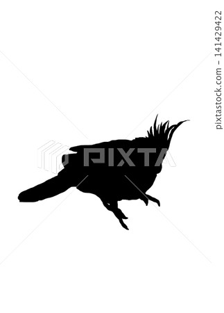 Silhouette of a cockatiel taking a break Silhouette of a cockatiel taking a break 141429422