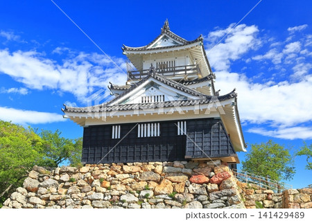 [Shizuoka] Hamamatsu Castle with fresh greenery 141429489