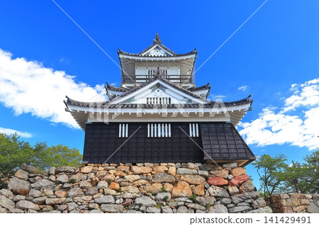 [Shizuoka] Hamamatsu Castle with fresh greenery 141429491