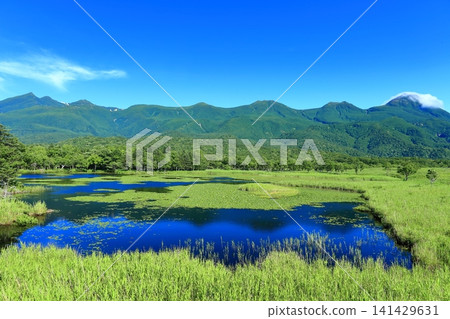 [北海道] 晴空下的知床山和知床五湖 141429631