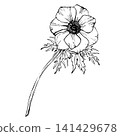 Anemone flower with petals, leaves and long stem. Hand drawn vector line art with black outlines. Realistic spring wildflower for packaging, tattoos and botanical design isolated from background 141429678