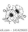 Anemone flowers Bouquet. Windflowers buds with leaves vector line art hand drawing. Bunch of flower for wedding, birthday, valentines tag greeting card design. Isolated from background illustration 141429683
