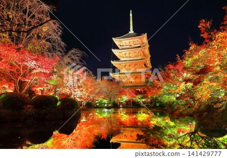 [Kyoto Prefecture] Autumn leaves light up at Toji Temple (special night viewing) 141429777