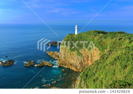 [Kochi Prefecture] Ashizuri Cape under clear skies 141429829