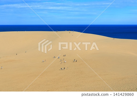 [Tottori Prefecture] Tottori Sand Dunes on a sunny day 141429860