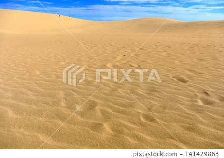 [Tottori Prefecture] Tottori Sand Dunes on a sunny day 141429863