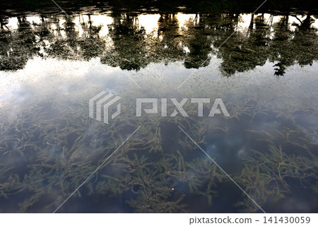 The blue sky, clouds, and trees lining the Imperial Palace grounds are reflected in the moat. The blue sky, clouds, and trees lining the Imperial Palace grounds are reflected in the moat. 141430059