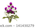 purple globe amaranth with white jasmine flowers local flora of asia 141430279